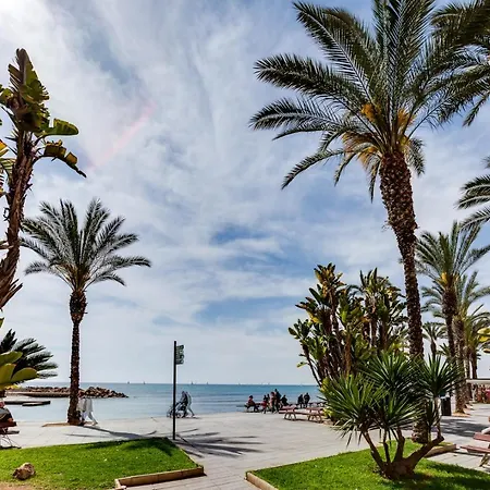 Calle Concordia 128 * Torrevieja