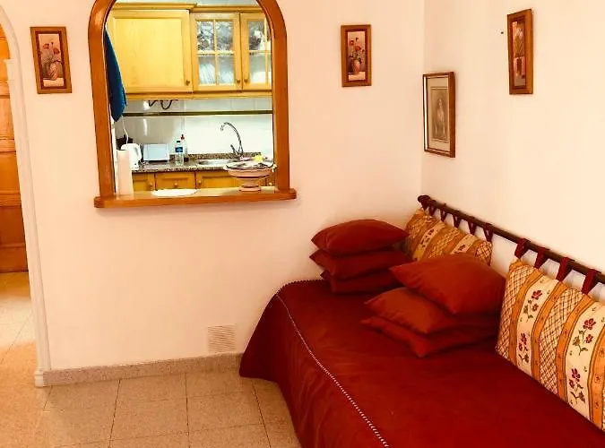 Calle Concordia 128 Torrevieja